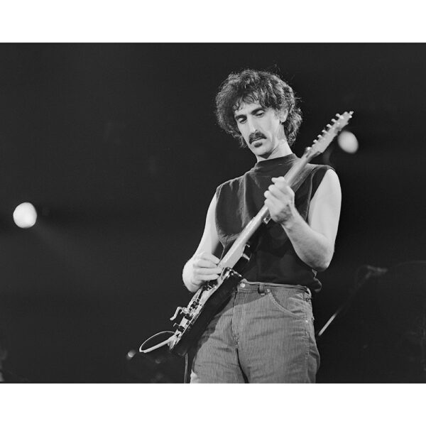 Frank Zappa sort ramme