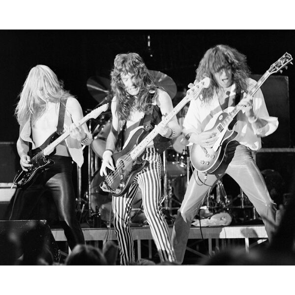 Iron Maiden sort ramme