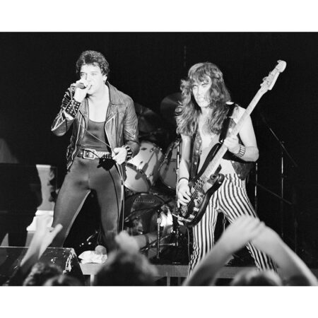 Iron Maiden sort ramme