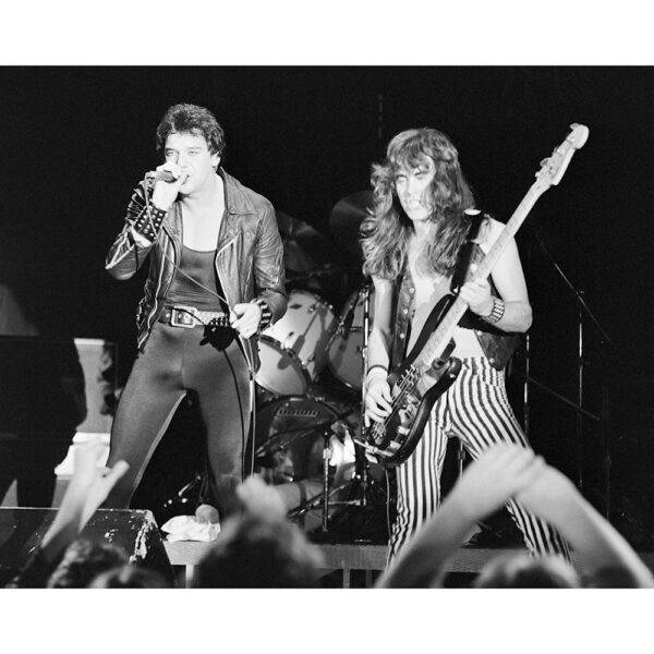 Iron Maiden sort ramme