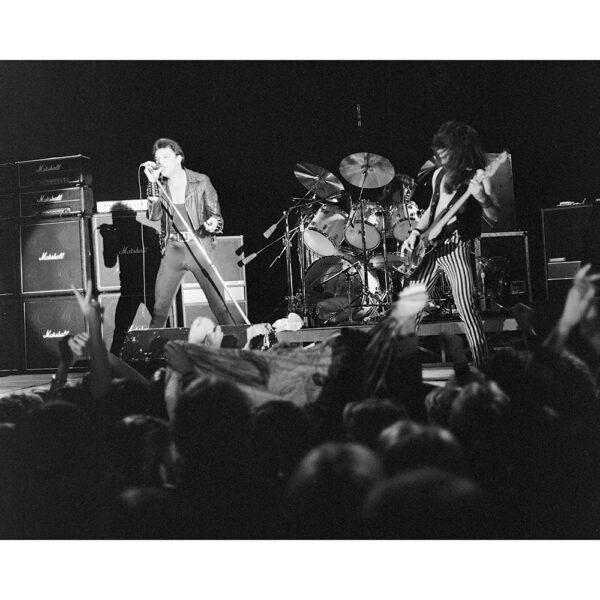 Iron Maiden sort ramme
